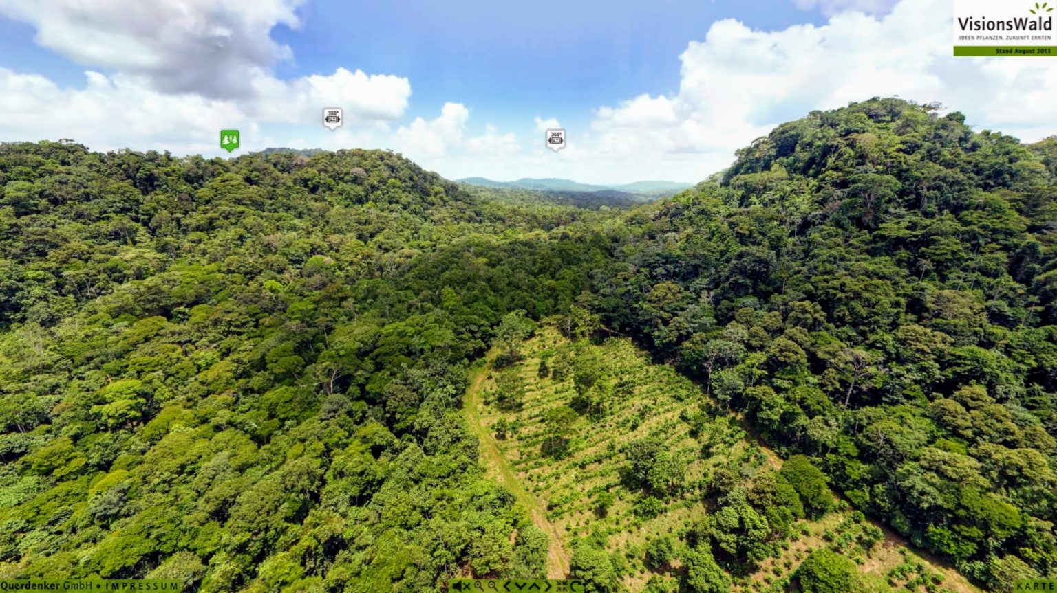 Vision Forest virtual tour - OpenForests