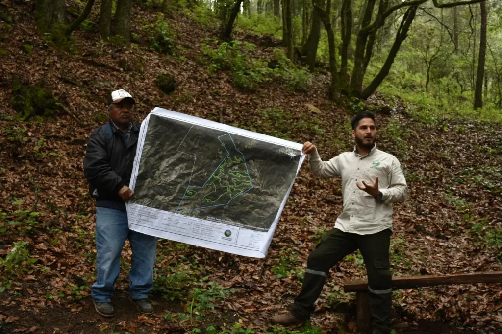 OpenForests visit Sierra Gorda