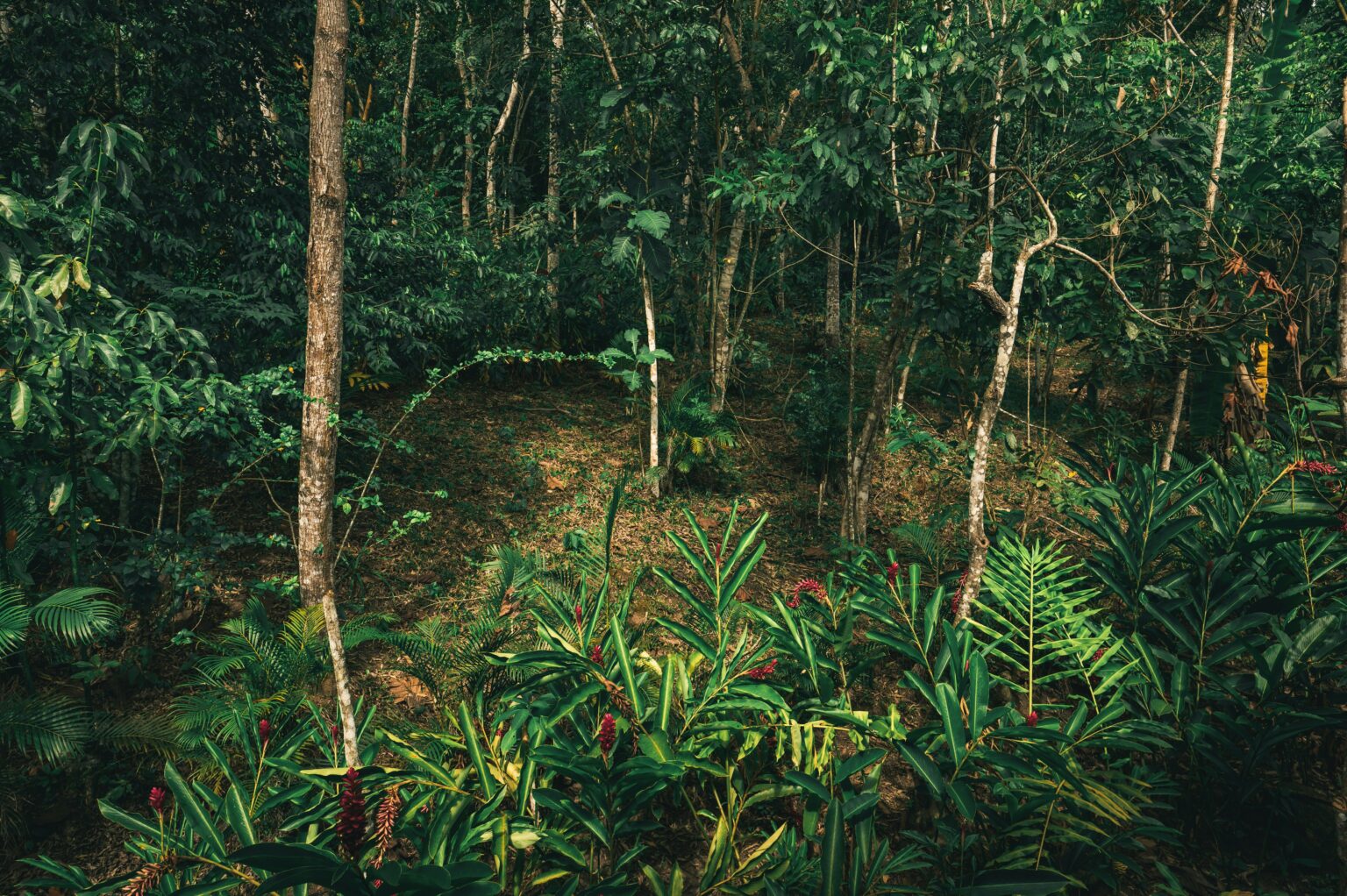 funding opportunities