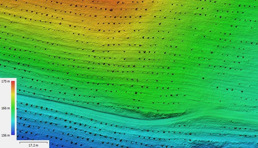 Digital Surface Model