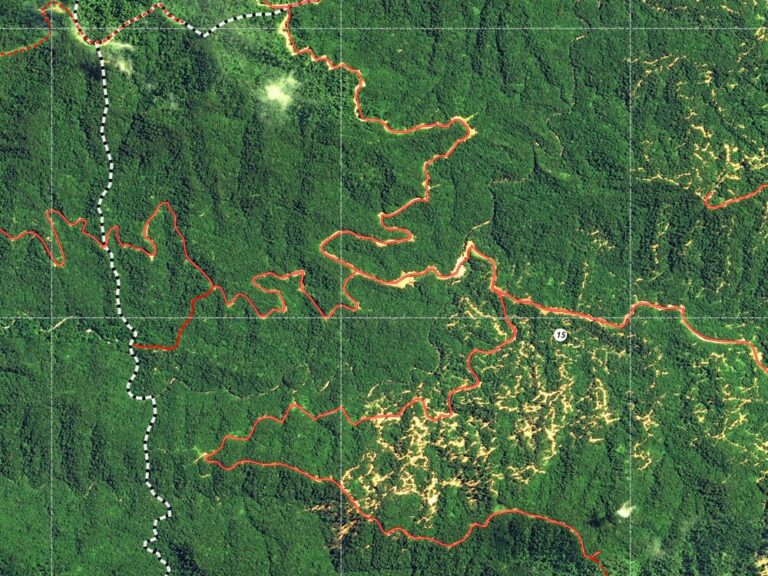 Forest Management Maps - OpenForests