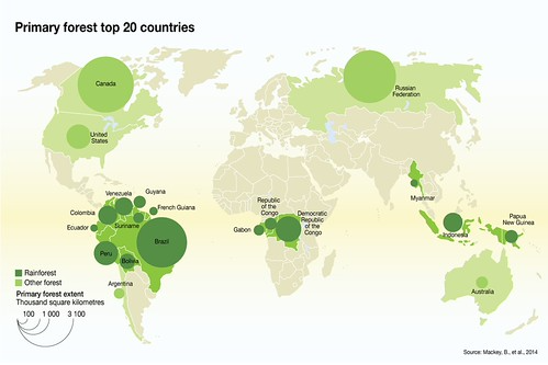 Primary forest top 20 countries