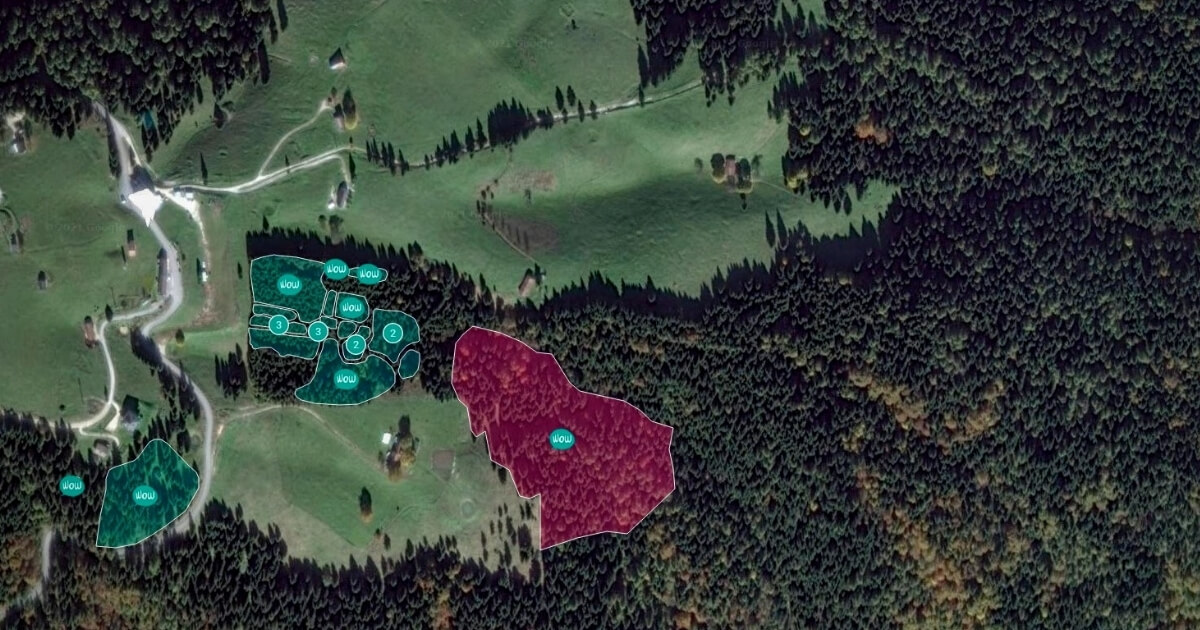 Etifor Case Study