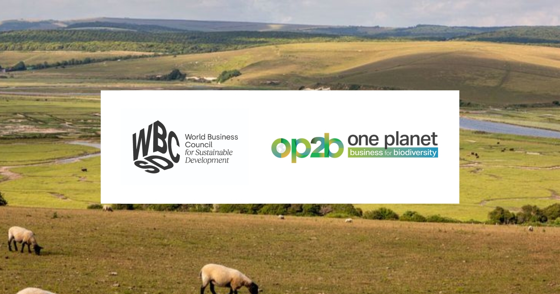 OP2B WBCSD