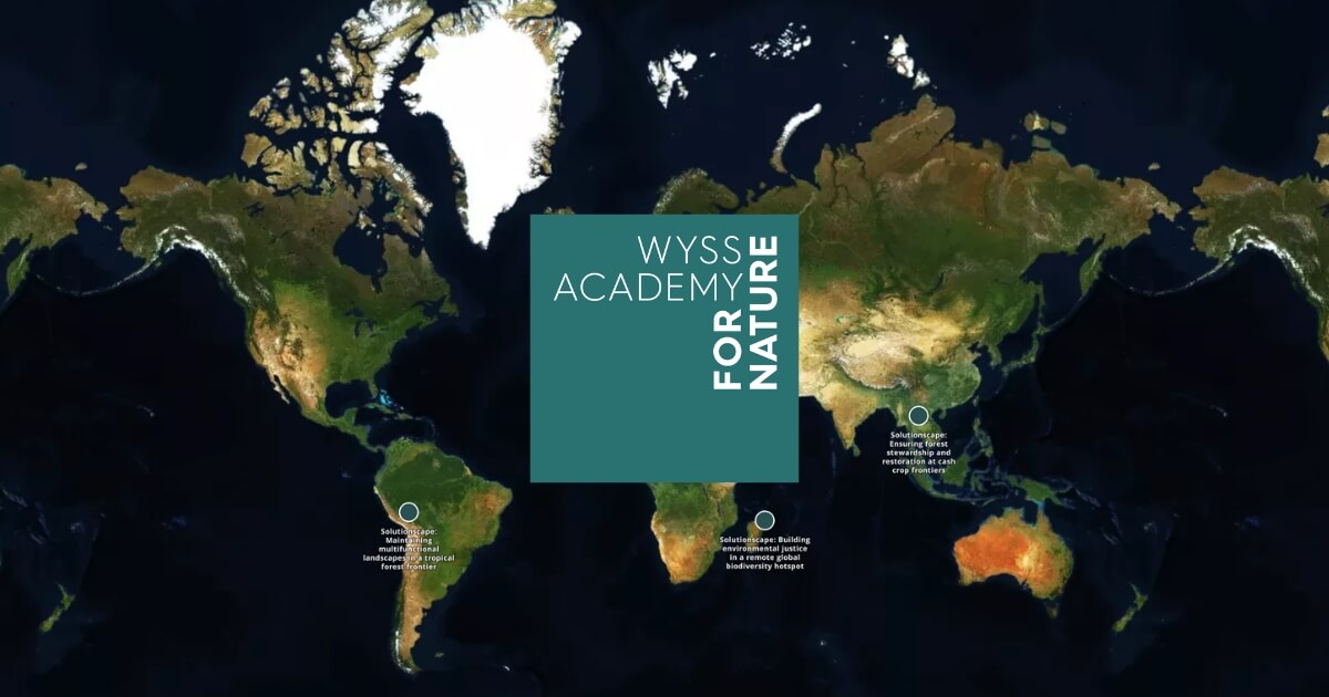 Wyss Custom Embedding