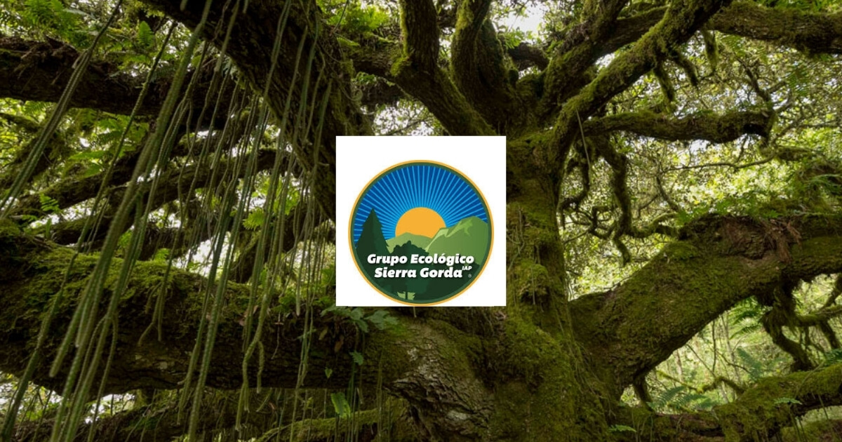 A transparent carbon registry for Grupo Ecológico Sierra Gorda