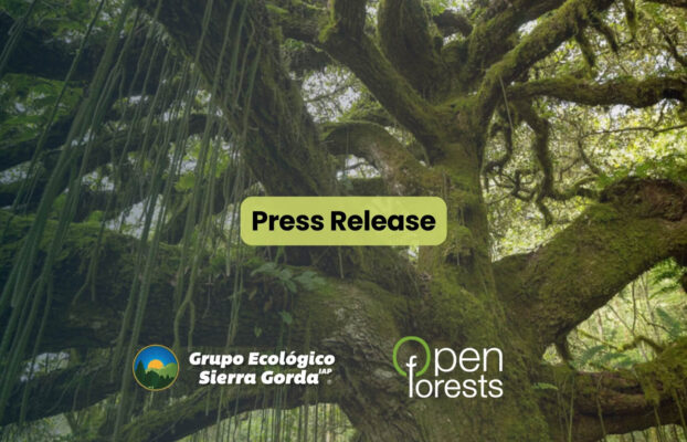 Carbono Biodiverso: Grupo Ecológico Sierra Gorda’s local carbon protocol brings transparency and community benefit to Mexico’s sub-national carbon market