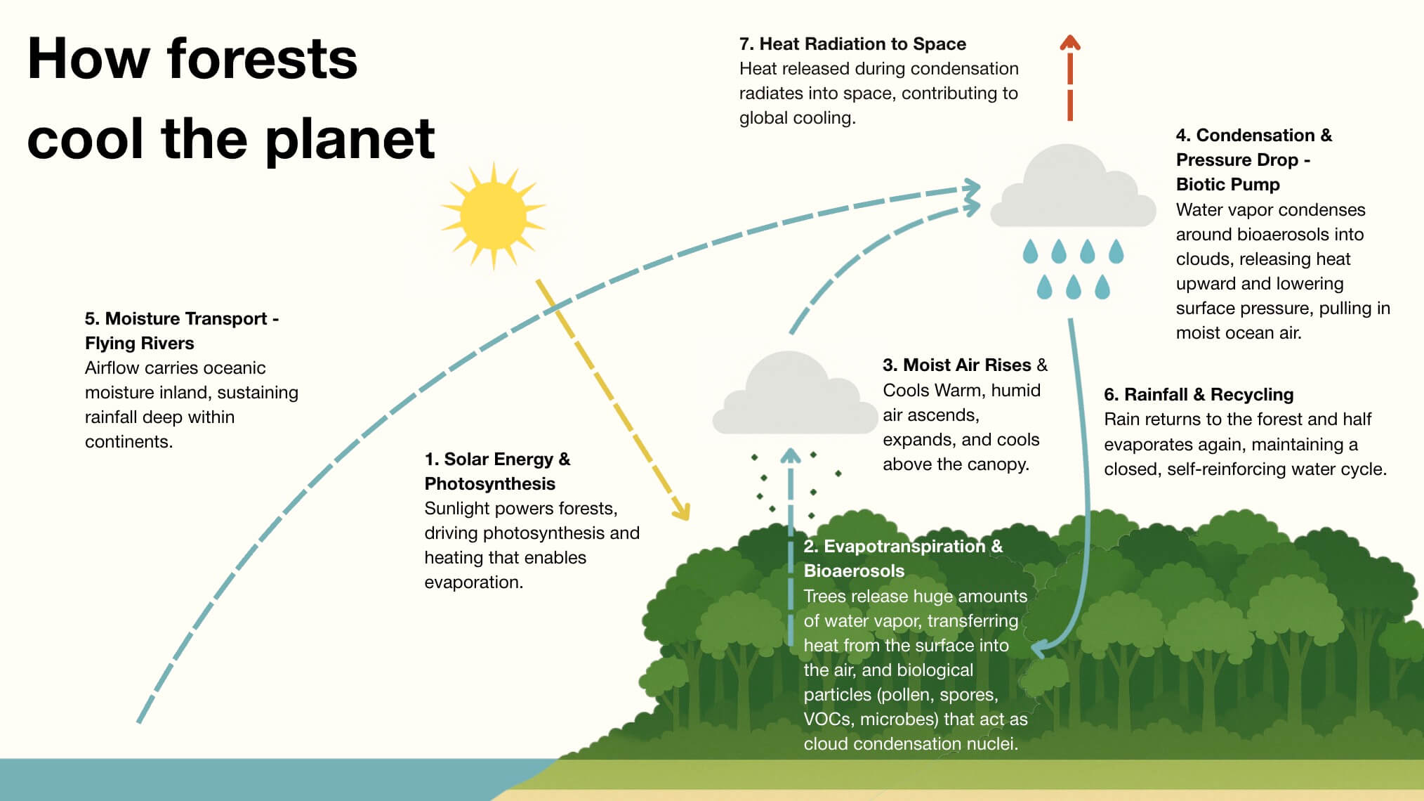 Evapotranspiration