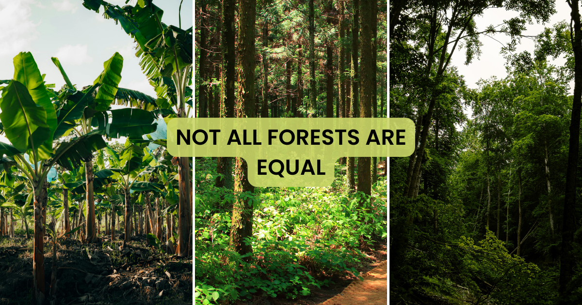 Not all forest are the same