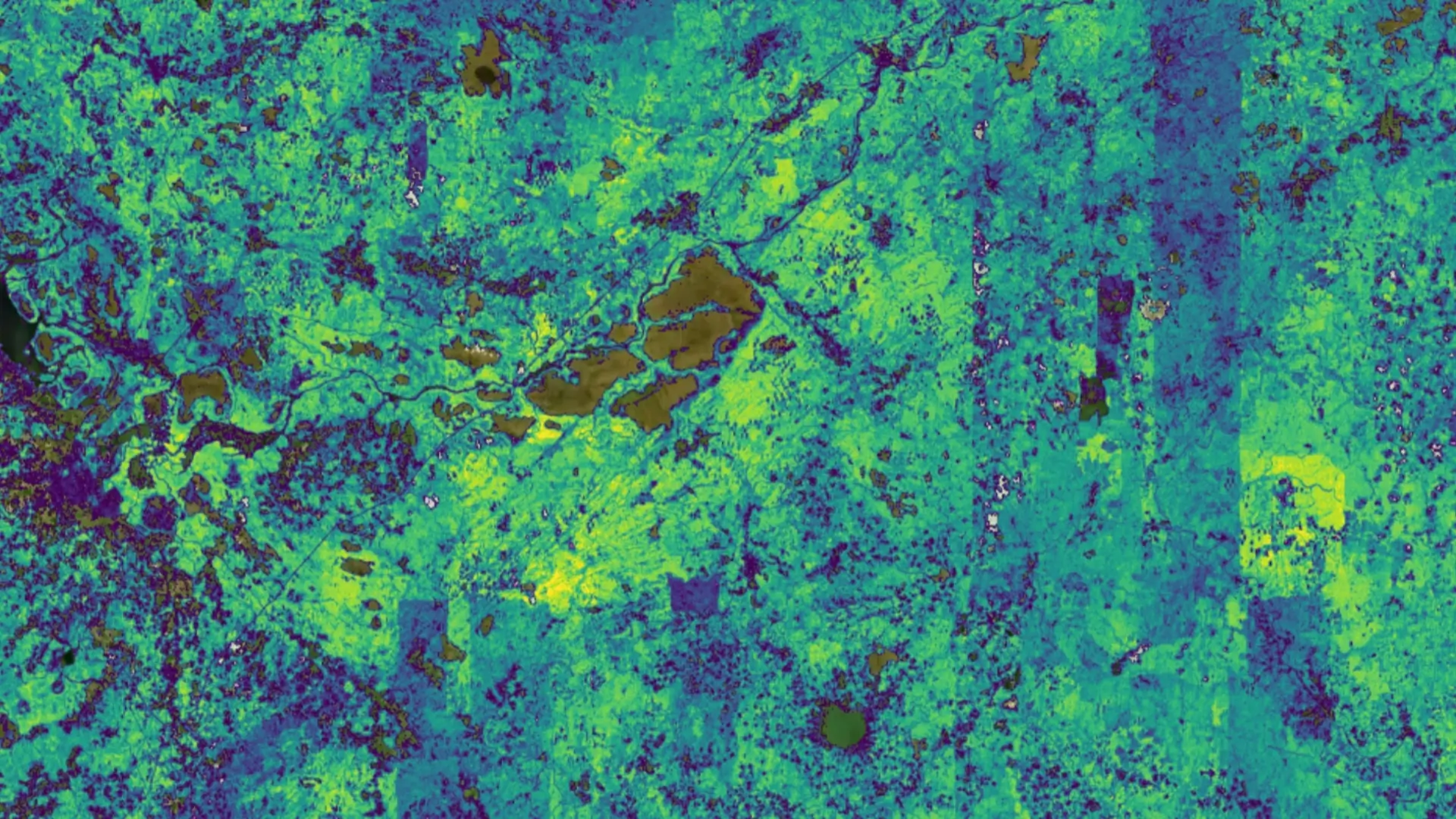 OpenForests geo transparency