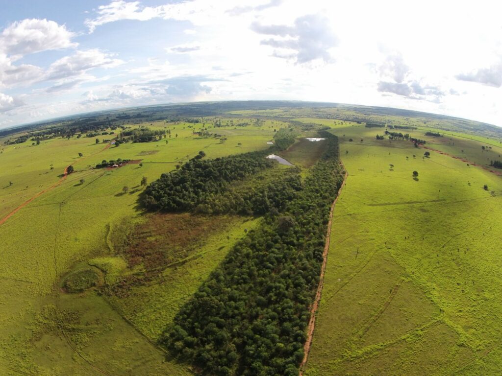 Wildlife corridor in Pontal, Brazil