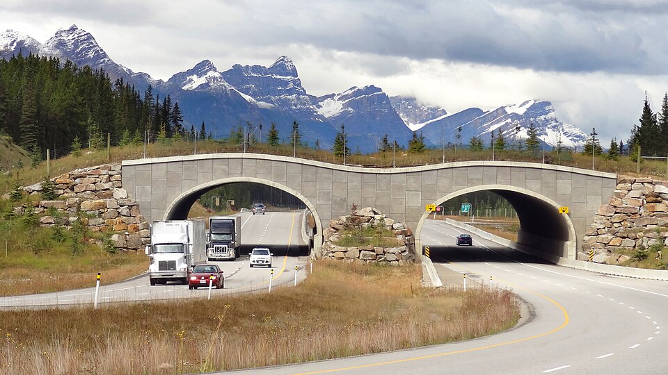Wildlife Overpass Trans-Canada Highway between Banff and LakeLouise, Alberta