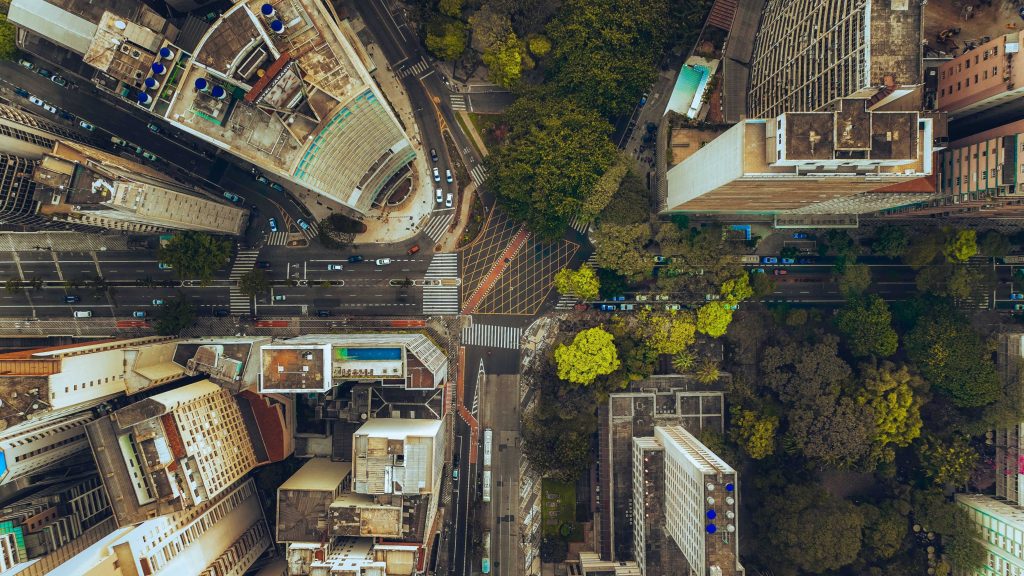 Urban forest in São Paulo, Brazil. © Picture by Sérgio Souza on Pexels
