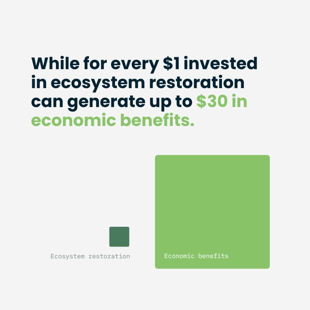 For every $1 invested
in ecosystem restoration can generate up to $30 in economic benefits.