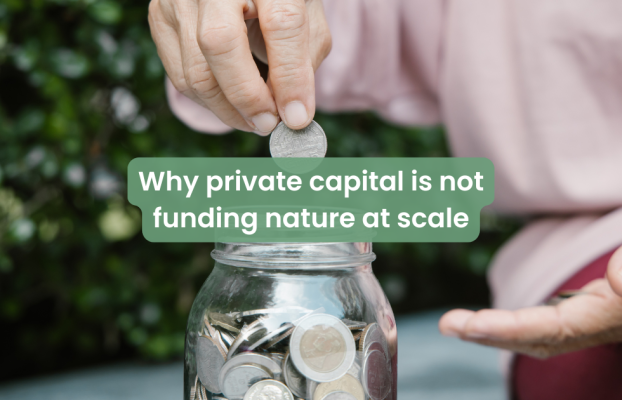 Why private capital is not funding nature at scale