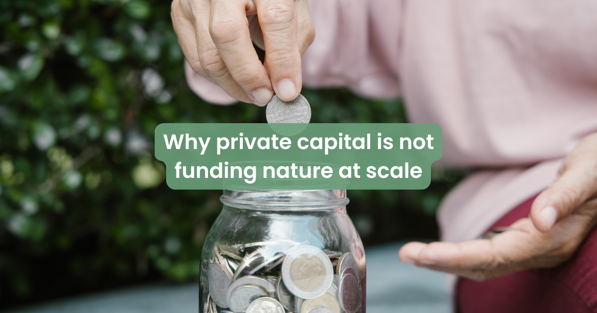 Nature funding and private capital