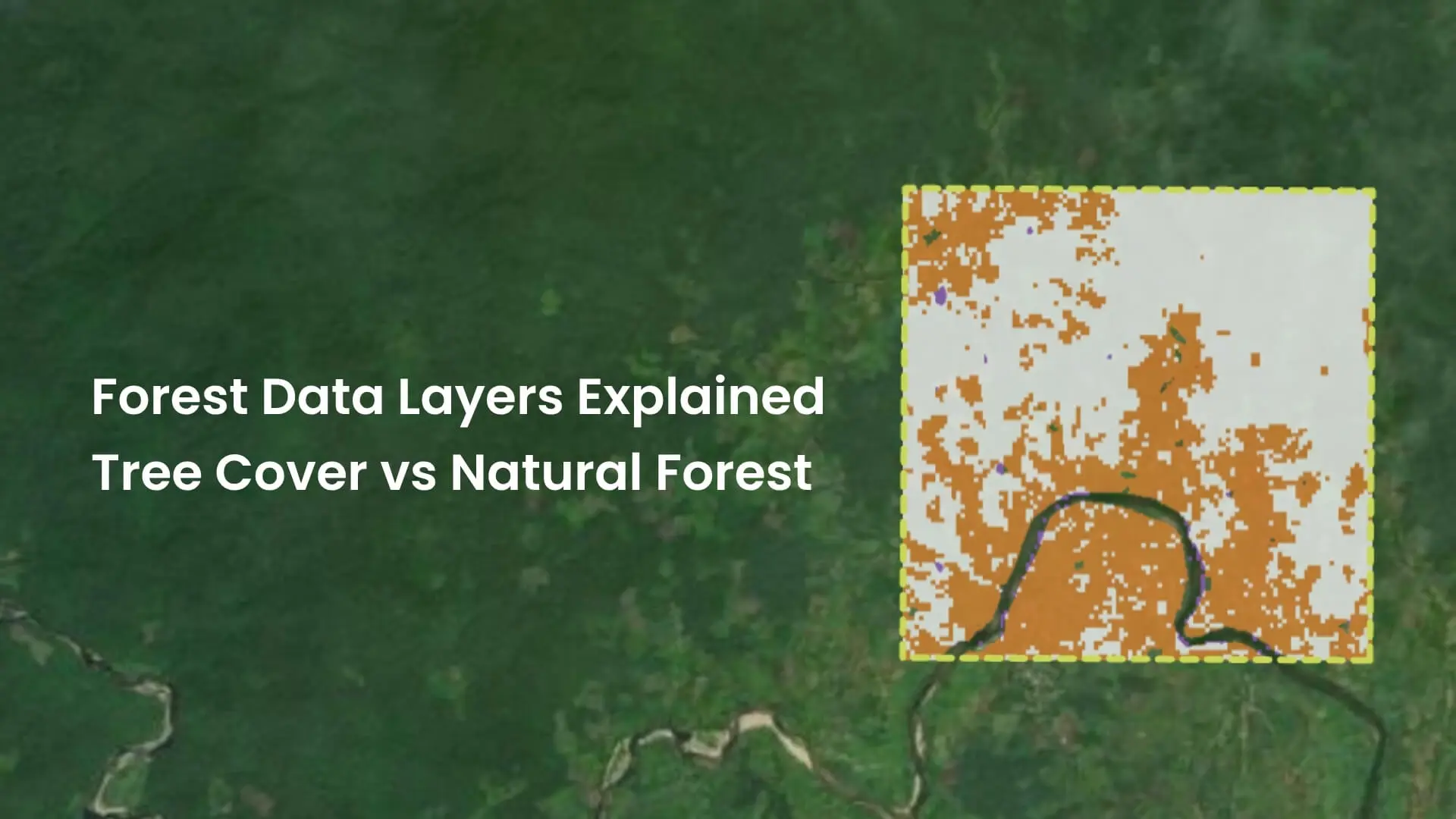 Forest Data Layers explained by OpenForests