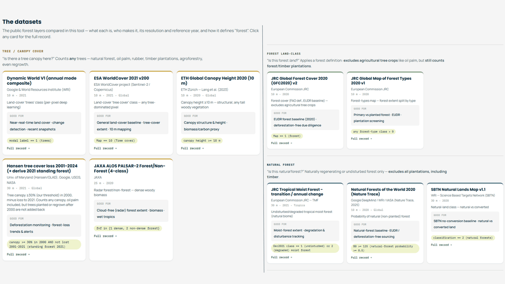 Datasets Forest Layers