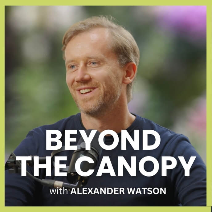 Beyond the canopy