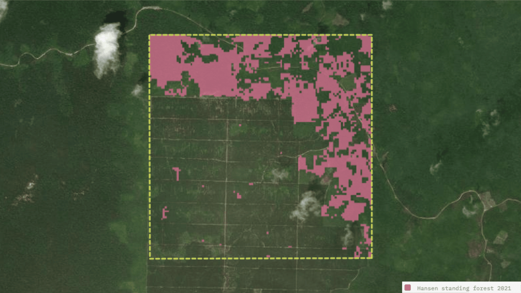 Hansen standing forest 2021 Layer, Indonesia, Kalimantan