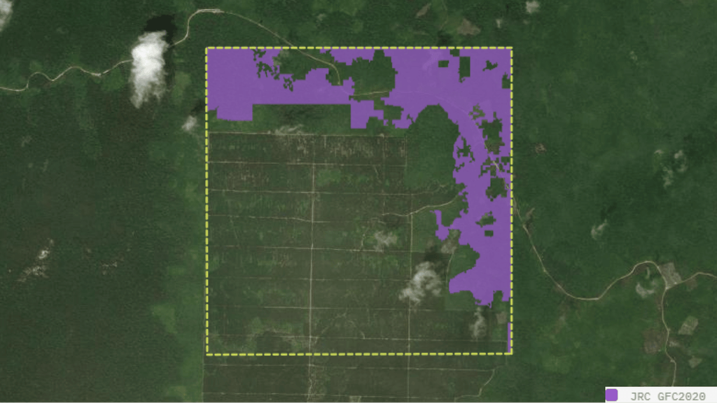 JRC GFC 2020 Layer , Indonesia, Kalimantan