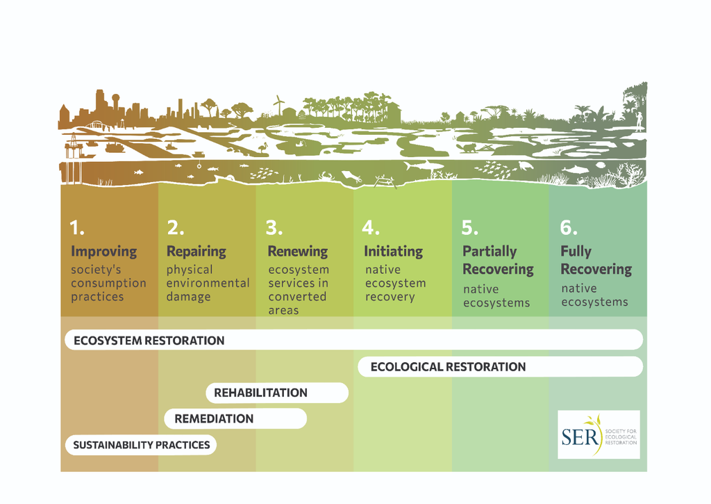 The Restorative Continuum 