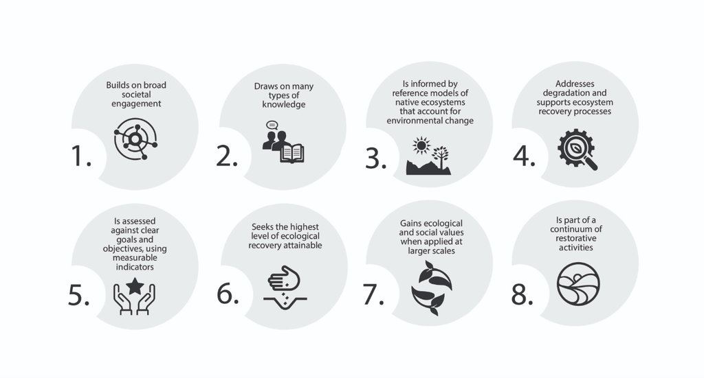 The eight principles for ecological restoration