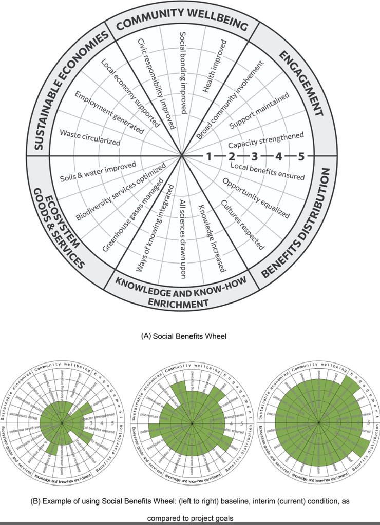 Example of using the Social Benefits Wheel